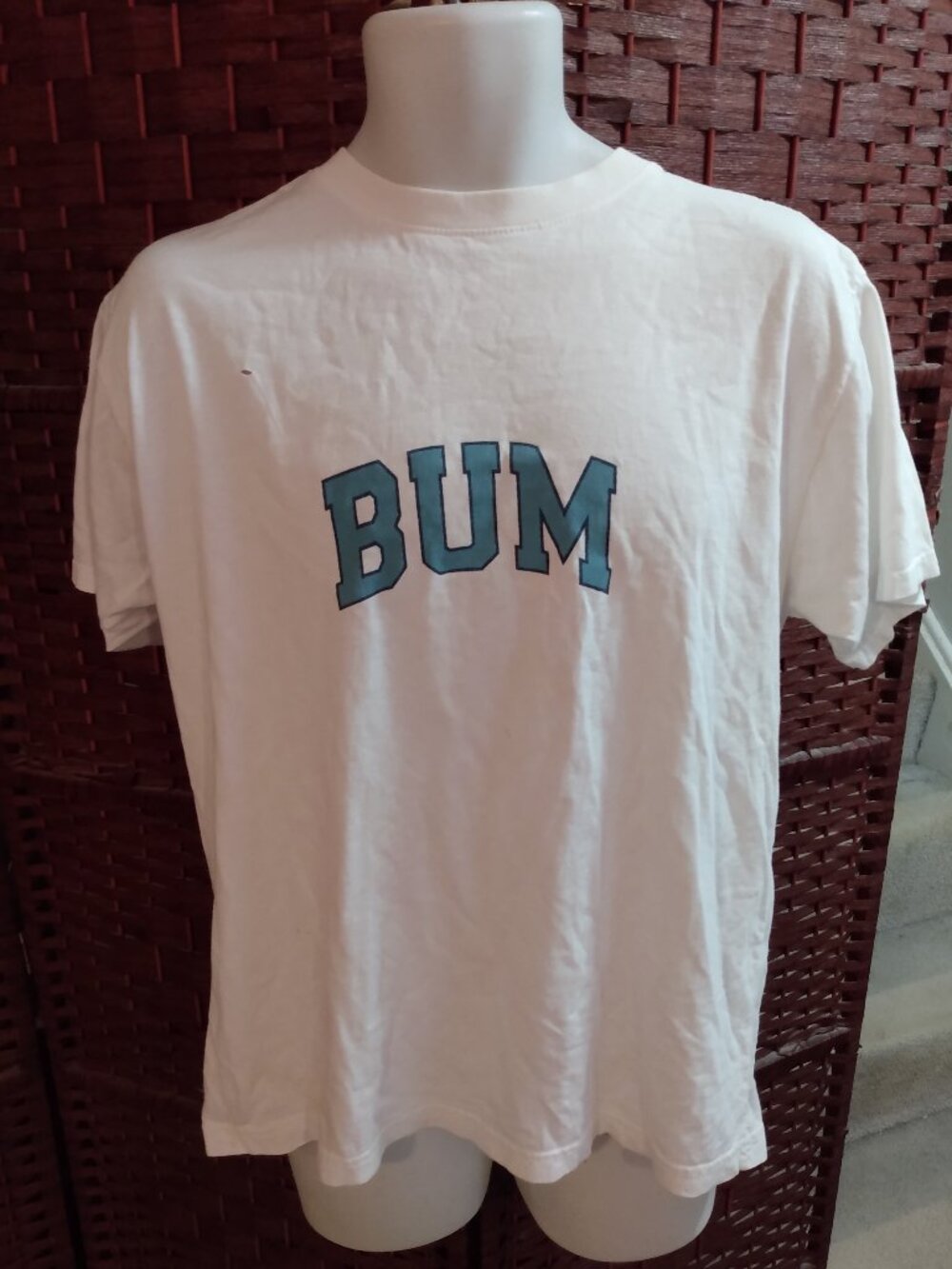 Vintage Bum Equipment T Shirt 90s Size M/L